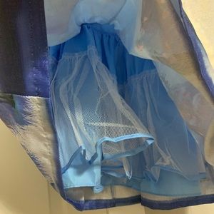 Pippa and julie frozen 2 dress